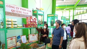 Lãnh đạo thành phố Đà Nẵng khảo sát, tìm hiểu tại Lễ hội Sâm Ngọc Linh lần thứ VI năm 2024. (ảnh: ĐÌNH TĂNG)