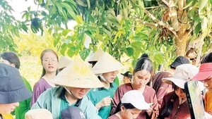 Các em học sinh được tìm hiểu và trải nghiệm nhiều mô hình nông nghiệp xanh thông qua chương trình. Ảnh: Thúy Phượng