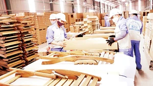Sau sáp nhập, tỉnh Tuyên Quang rộng lớn hơn, có tiềm năng để phát triển các khu cụm công nghiệp hiện đại và vùng sản xuất tập trung. Nguồn: HDNTQ