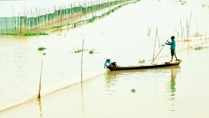 Bà con xã An Phú (mới) tỉnh An Giang đón lũ. Ảnh: Phương Bằng