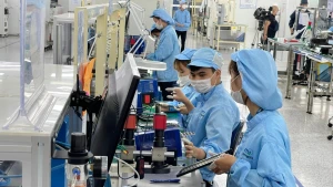 Công nghiệp phục hồi tạo động lực phát triển kinh tế bền vững. (Ảnh: KIM DUNG)