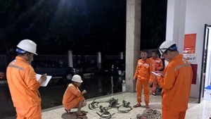 Đội xung kích Công ty Điện lực Ninh Bình chuẩn bị lên đường hỗ trợ khắc phục thiệt hại sau bão số 5 tại Nghệ An. (Ảnh: EVNNPC)