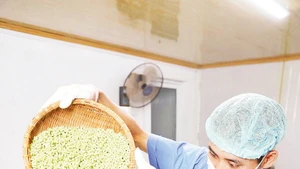 Dây chuyền sản xuất tại HTX Dịch vụ nông nghiệp sông Hồng.