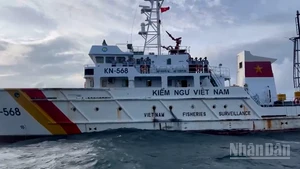 Đoàn tuần tra số 6, Chi cục Kiểm ngư Vùng 5 tuần tra trên biển.