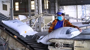 Cần Thơ đặt mục tiêu hằng năm cấp mới hoặc điều chỉnh, bổ sung giấy chứng nhận cho 7-10 doanh nghiệp khoa học và công nghệ.