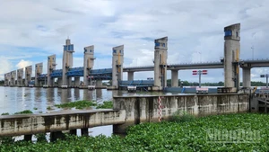Cụm cống Cái Lớn, Cái Bé, Xẻo Rô được vận hành linh hoạt với tình hình thủy văn bất lợi gây ra.