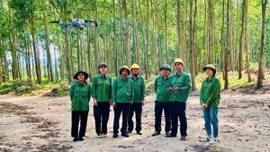 Sử dụng drone để tuần tra rừng tại Công ty TNHH Lâm nghiệp Sông Kôn. (Ảnh: GIZ/VŨ THÀNH)