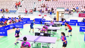 Thi đấu môn bóng bàn tại Giải vô địch các Câu lạc bộ bóng bàn, cầu lông, Pickleball công chức, viên chức tỉnh Nam Định năm 2025.