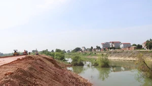 Gia cố đê bối Trầm Hà, thôn Thượng, xã Mỹ Thái. 