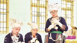 Chế biến trà hoa vàng tại Hợp tác xã nông lâm Nghĩa Tá.