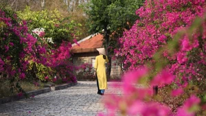 Du lịch bền vững dần trở thành tiêu chí lựa chọn điểm đếm của du khách. (Ảnh: Booking.com)