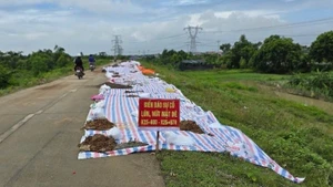 Khu vực sụt lún đê hữu Cầu. 