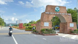 Đường gốm đỏ và hoa dài nhất Việt Nam tại Vĩnh Long. 