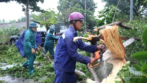 Lực lượng chức năng tỉnh Đồng Nai tập trung khắc phục hậu quả do trận mưa lớn kèm gió giật mạnh gây ra.