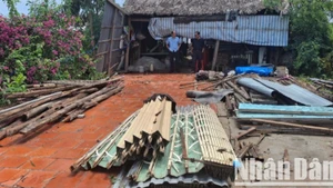 Một nhà dân bị sập hoàn toàn sau mưa lớn kèm giông lốc vào 3/6 trên địa bàn huyện U Minh.