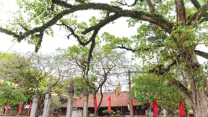 Đình Vân Xuyên là nơi phát động nhân dân đứng lên giành chính quyền ở huyện Hiệp Hòa, tháng 6/1945.