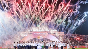V-League 2024-2025 khép lại với chức vô địch thuộc về câu lạc bộ Nam Định.