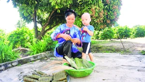 Những mẻ bánh tro mới ra lò của đồng bào dân tộc Nùng tại Tây Nguyên.