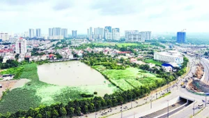 Một khu đất nằm bên đường Mai Chí Thọ thuộc phường Bình Trưng, Thành phố Hồ Chí Minh.