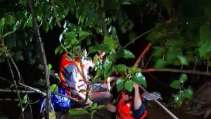 Người đàn ông bị nước cuốn may mắn bám vào cành cây được lực lượng chức năng ứng cứu kịp thời. (Ảnh: Công an cung cấp)