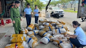 Đoàn kiểm tra tạm giữ lô hàng mực khô có dấu hiệu mốc, bốc mùi. (Ảnh: Chi cục Quản lý thị trường Đà Nẵng)
