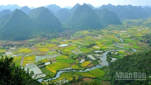 Ngành văn hóa quyết tâm thúc đẩy du lịch thành ngành kinh tế mũi nhọn. 