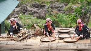 Phụ nữ Hà Nhì ở bản Pa Pảng vẫn đối mặt rào cản bình đẳng giới. (Ảnh: VŨ LINH)