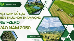 Việt Nam nỗ lực hiện thực hóa tham vọng Net-Zero vào năm 2050