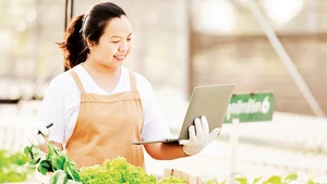 Việc làm xanh như kỹ sư điện gió, phát triển trạm sạc, chuyển giao phần mềm... sẽ đáp ứng mục tiêu chuyển đổi xanh của các doanh nghiệp và Chính phủ. (Ảnh VÕ LÊ)