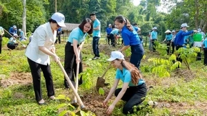 Nhiều chiến dịch xanh của Agribank được tiến hành đã mang lại ý nghĩa tích cực cho môi trường.