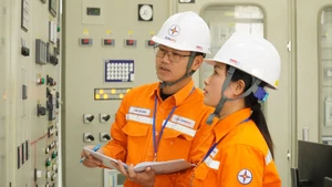 Kiểm tra vận hành lưới điện. 