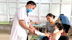 Số lượng trẻ nhập viện điều trị tại Bệnh viện Sản-Nhi Ninh Bình do tai nạn giao thông tăng cao. 