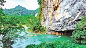 Một góc Vườn quốc gia Phong Nha-Kẻ Bàng. (Ảnh: TTXVN)