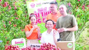 Phó Chủ tịch tỉnh Bắc Ninh Phạm Văn Thịnh (ngồi giữa) livestream bán vải thiều.