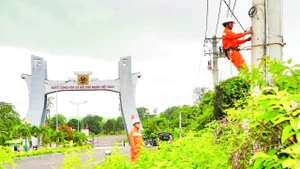 Cán bộ, nhân viên Công ty Điện lực Đức Cơ, tỉnh Gia Lai tiến hành kiểm tra, bảo đảm an toàn lưới điện tại khu vực cửa khẩu quốc tế Lệ Thanh.