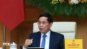 Phó Thủ tướng Bùi Thanh Sơn phát biểu tại buổi tiếp các chuyên gia, nhà khoa học. (Ảnh: TTXVN)