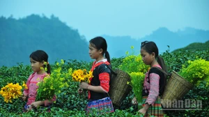 Những em bé người dân tộc ở Mộc Châu là những sứ giả truyền tải nét văn hóa đặc sắc của đồng bào mình đến với du khách. (Ảnh: THẾ DƯƠNG)