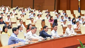 Đại biểu Quốc hội bấm nút thông qua Nghị quyết sửa đổi, bổ sung một số điều của Hiến pháp. (Ảnh: DUY LINH) 
