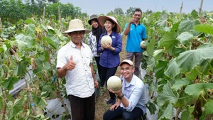 Người nông dân Indonesia được khuyến khích ứng dụng mô hình sản xuất nông nghiệp bền vững.