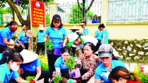Người dân phường An Tường, tỉnh Tuyên Quang tái chế rác thải nhựa thành những bình trồng hoa.
