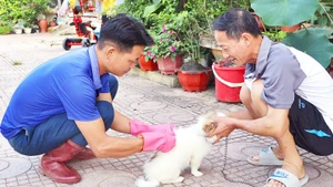 Cán bộ Trung tâm Dịch vụ nông nghiệp huyện Điện Biên Đông đến từng gia đình để tiêm vắc-xin phòng bệnh dại cho chó, mèo.