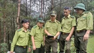 Lực lượng kiểm lâm tỉnh Sơn La phát huy tốt hiệu quả của thiết bị bay không người lái trong quản lý và bảo vệ rừng. (Ảnh: TUẤN NGHĨA)