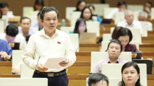 Đại biểu Quốc hội lo ngại nhà đầu tư làm đường sắt nhưng mục tiêu chính là để phát triển dự án TOD