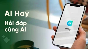 Theo khảo sát của Decision Lab, ứng dụng AI Hay của Việt Nam đứng thứ 6/11 nền tảng AI phổ biến với người dùng Việt, xếp ở vị trí thứ 2 về mức độ hài lòng khi sử dụng, chỉ sau ChatGPT.