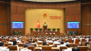 Quang cảnh phiên họp sáng 14/6.