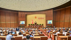 Quốc hội thảo luận về kết quả giám sát việc giải quyết kiến nghị của cử tri, xem xét công tác tổ chức, nhân sự