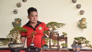 anh Bình với các cây kiểng bonsai nhỏ và siêu nhỏ.