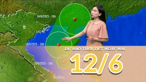 [Video] Dự báo thời tiết đêm nay và ngày mai 12/6/2025: Bão số 1 hoạt động trên biển Đông