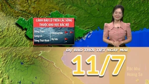 [Video] Dự báo thời tiết đêm nay và ngày mai 11/7/2025: Mưa lớn về đêm và sáng ở Bắc Bộ