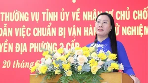 Bí thư Tỉnh ủy Quảng Ngãi Bùi Thị Quỳnh Vân làm Trưởng đoàn công tác số 1, kiểm tra tại thành phố Quảng Ngãi và huyện Bình Sơn.